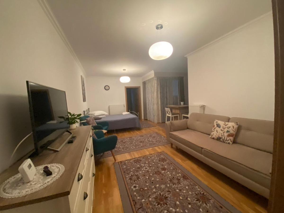 Lunafan Apartment Cluj Napoca Bagian luar foto
